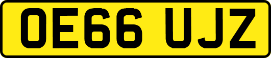 OE66UJZ