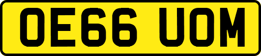 OE66UOM