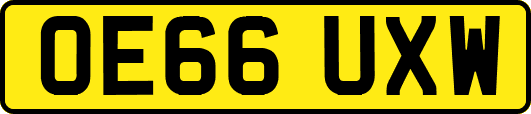 OE66UXW