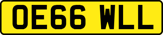 OE66WLL