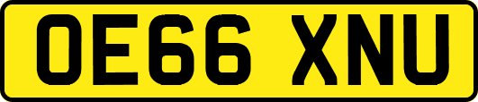 OE66XNU