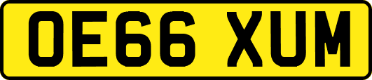 OE66XUM