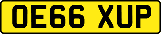 OE66XUP