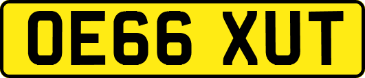 OE66XUT