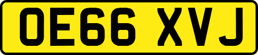 OE66XVJ