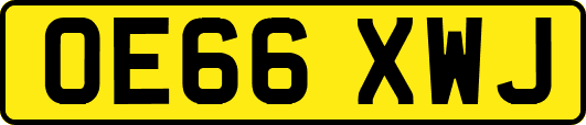 OE66XWJ