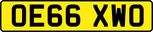 OE66XWO