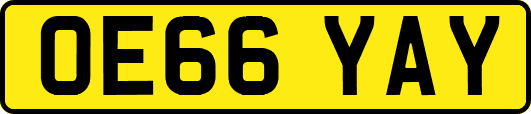 OE66YAY