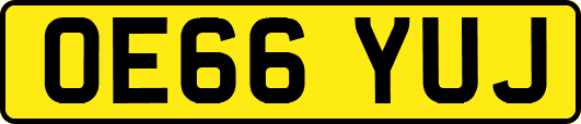 OE66YUJ