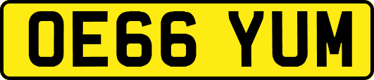 OE66YUM