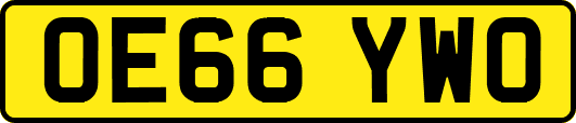 OE66YWO