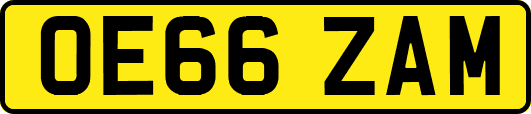 OE66ZAM