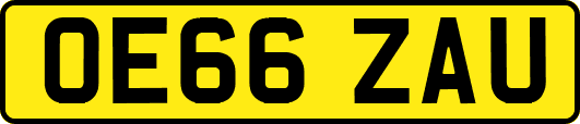 OE66ZAU