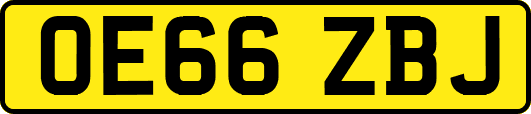 OE66ZBJ
