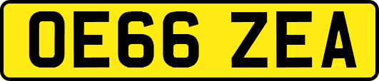 OE66ZEA