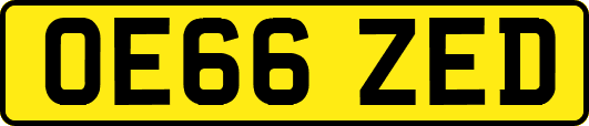 OE66ZED