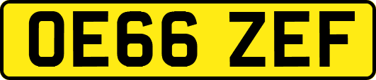 OE66ZEF