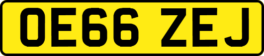 OE66ZEJ