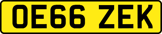 OE66ZEK