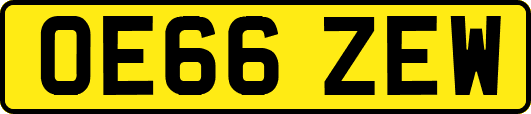 OE66ZEW