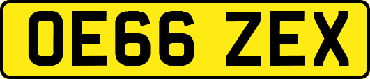 OE66ZEX