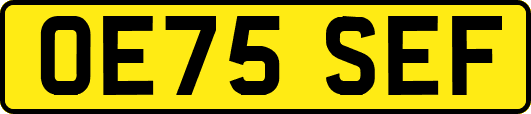 OE75SEF