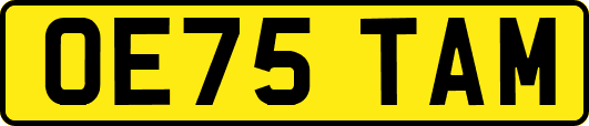 OE75TAM