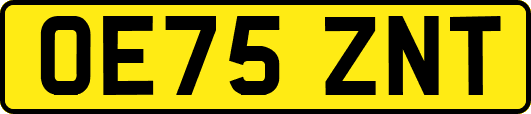 OE75ZNT