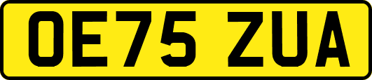OE75ZUA