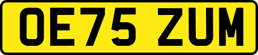 OE75ZUM