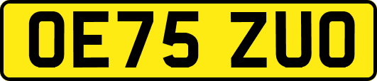 OE75ZUO