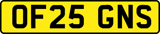 OF25GNS