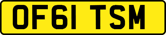 OF61TSM