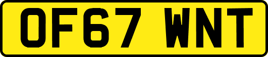 OF67WNT