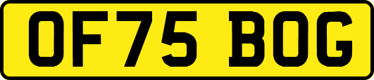 OF75BOG