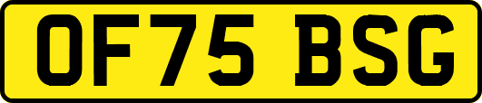 OF75BSG