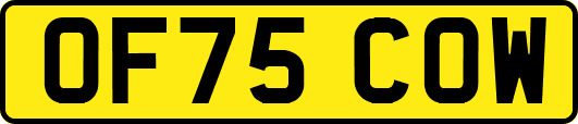 OF75COW