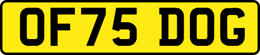 OF75DOG