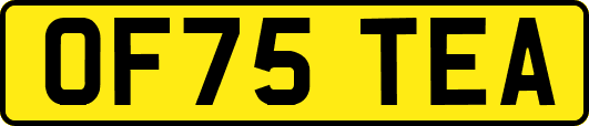 OF75TEA