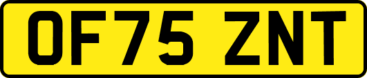 OF75ZNT