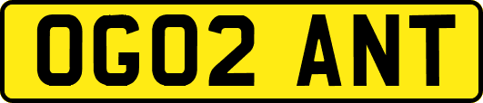 OG02ANT