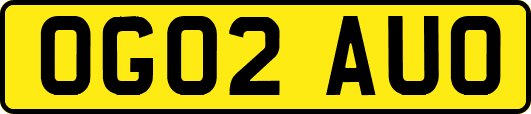 OG02AUO