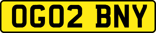 OG02BNY