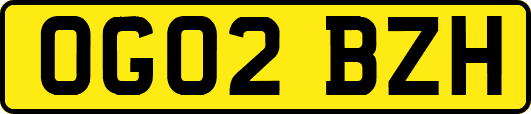 OG02BZH