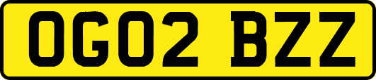 OG02BZZ