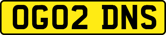 OG02DNS