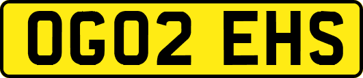 OG02EHS
