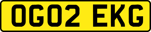 OG02EKG
