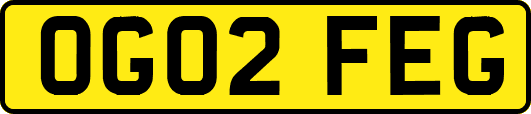 OG02FEG