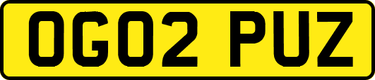 OG02PUZ